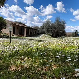 Bio Pian Dei Casali Bauernhof